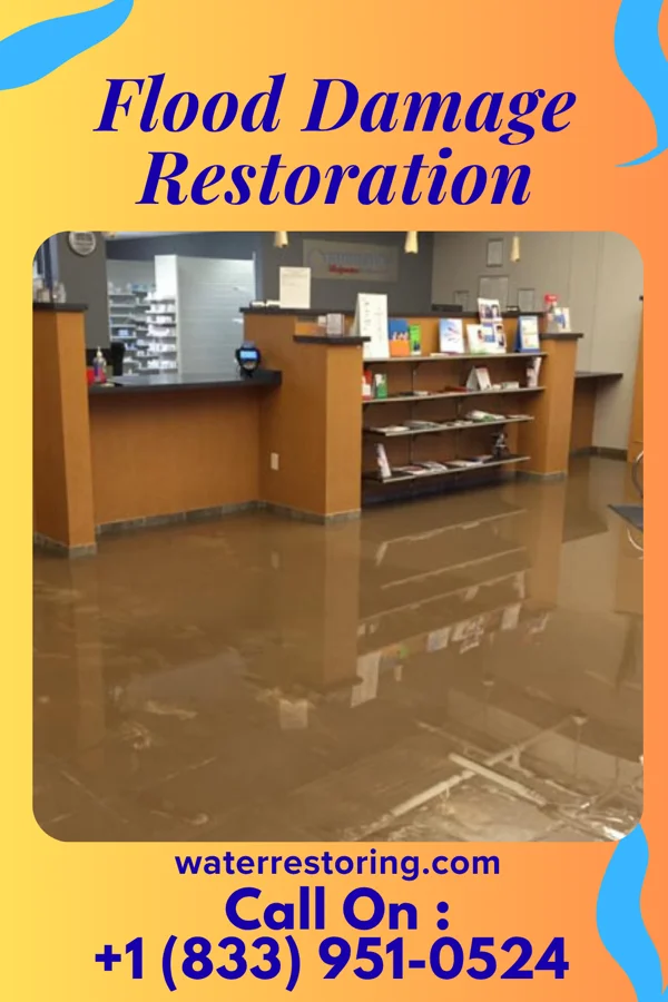 Flood Damage Restoration in Barker Ten Mile, NC