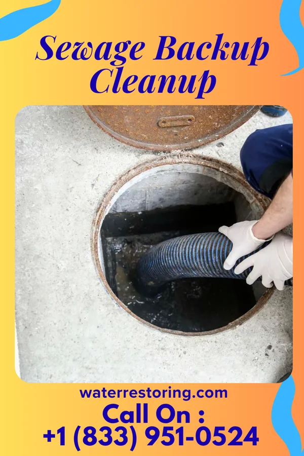 Sewage Backup Cleanup in Barker Ten Mile, NC