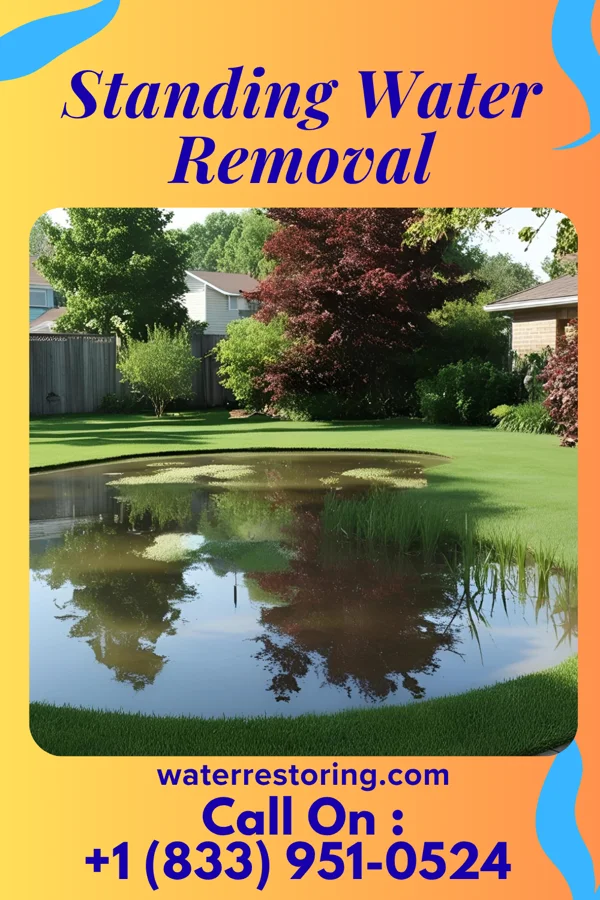Standing Water Removal in Barker Ten Mile, NC